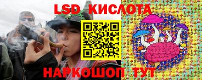 прущие крисы Кунгур